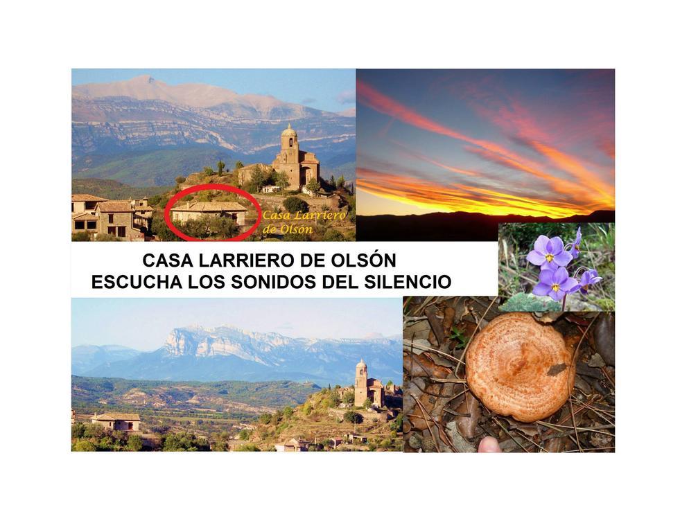 Hostal Casa Larriero de Olsón Exterior foto